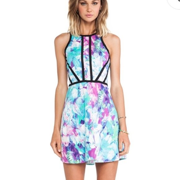 Parker Dresses & Skirts - Parker Shelby Fit and Flare Monet Print Dress S